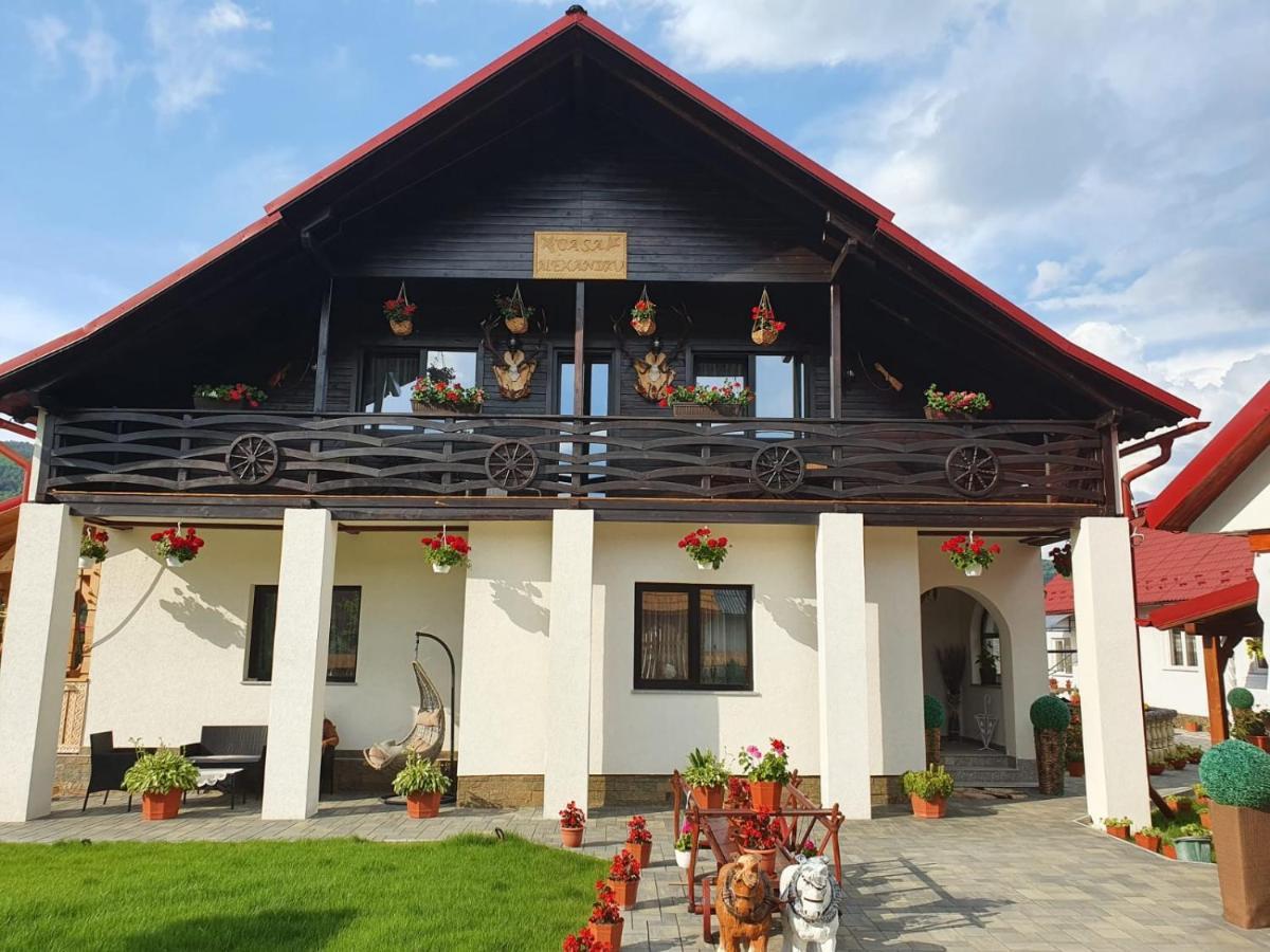 Casa Alexandru - Locul In Care Te Simti Acasa Hotel วิโชเดโจส ภายนอก รูปภาพ