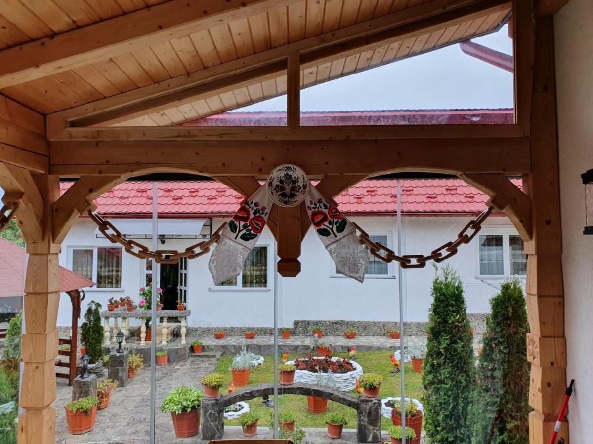 Casa Alexandru - Locul In Care Te Simti Acasa Hotel วิโชเดโจส ภายนอก รูปภาพ