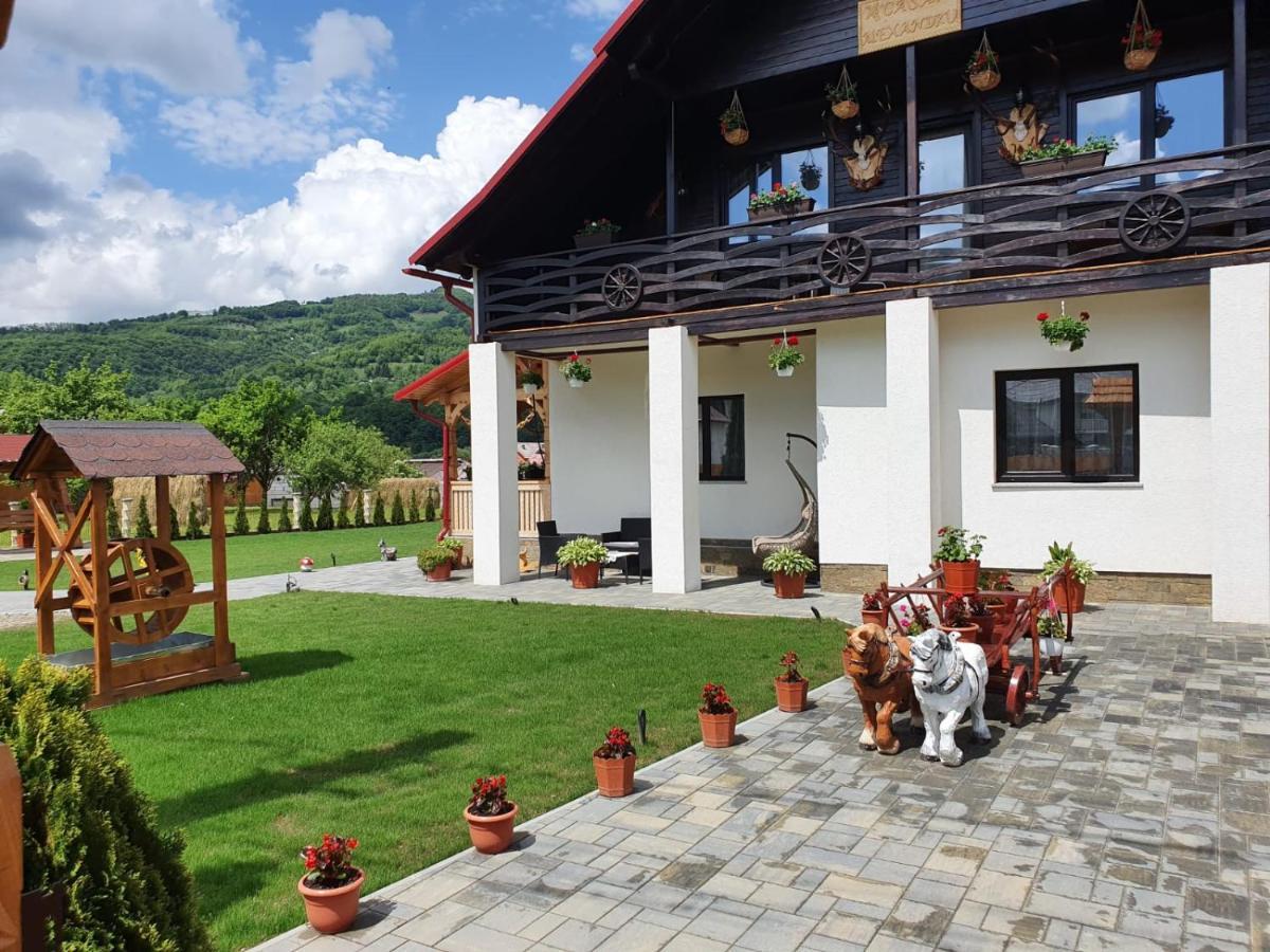 Casa Alexandru - Locul In Care Te Simti Acasa Hotel วิโชเดโจส ภายนอก รูปภาพ