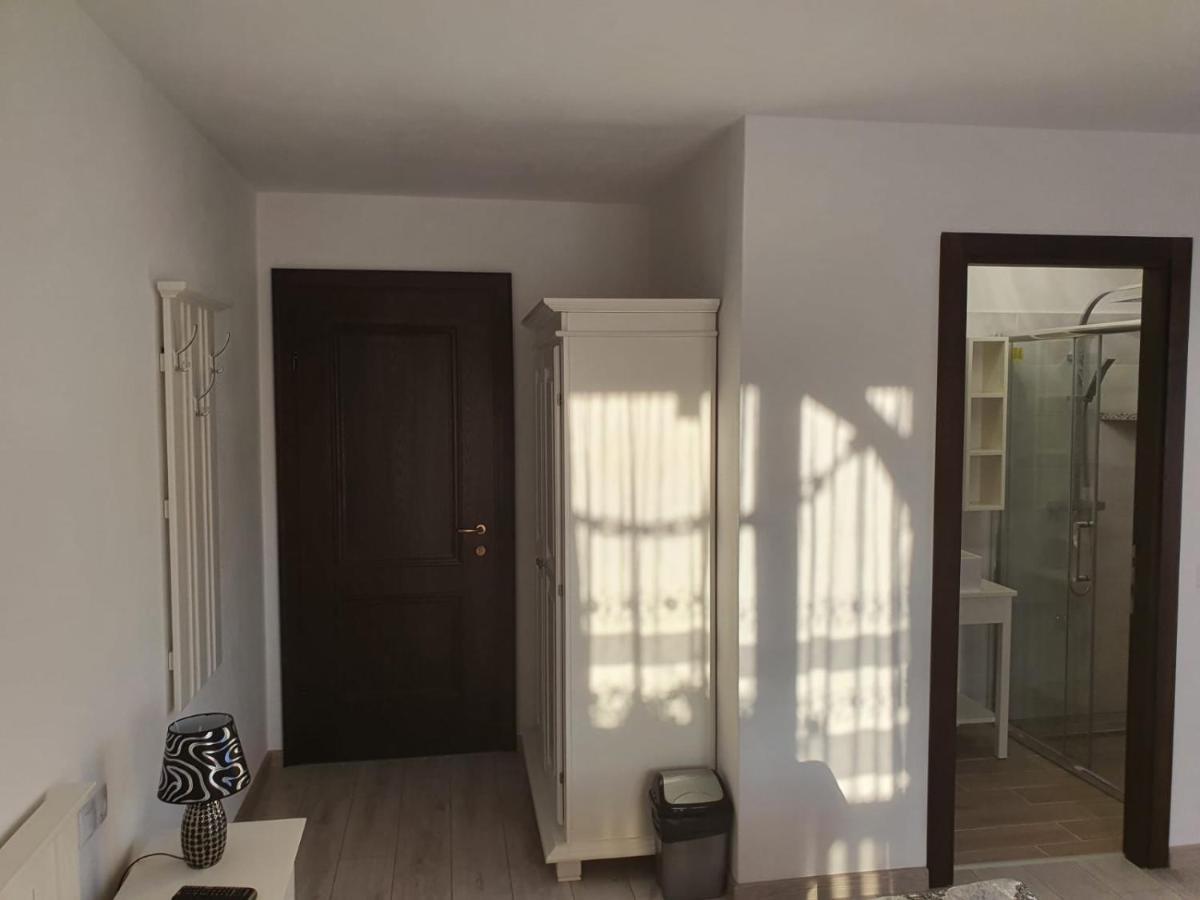 Casa Alexandru - Locul In Care Te Simti Acasa Hotel วิโชเดโจส ภายนอก รูปภาพ