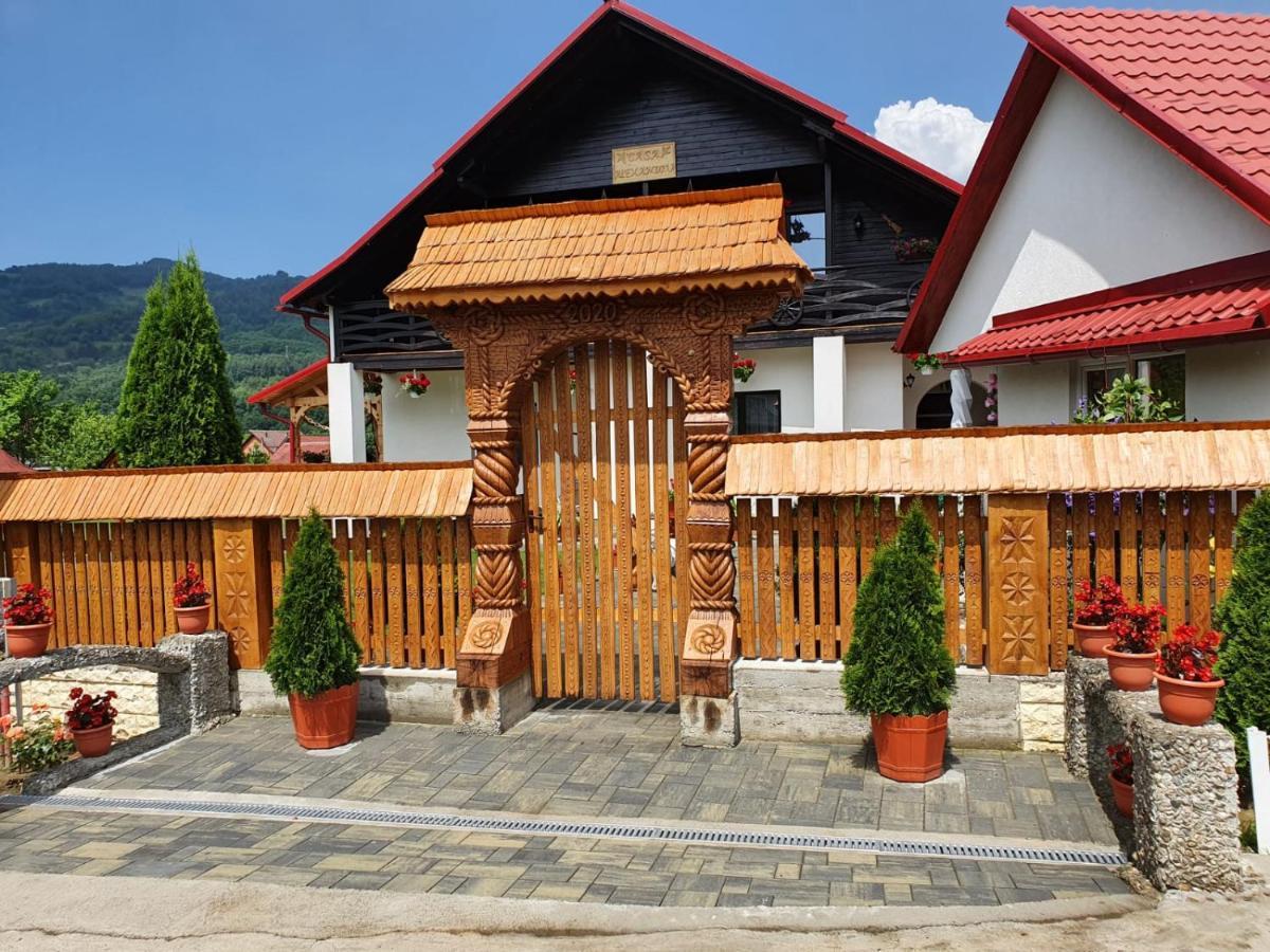 Casa Alexandru - Locul In Care Te Simti Acasa Hotel วิโชเดโจส ภายนอก รูปภาพ